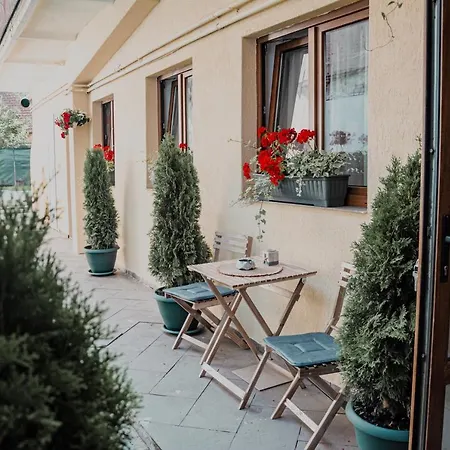 Garden * Braşov
